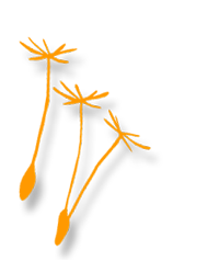 Jenny Schwartz, Hebamme, Berlin-Kleinmachnow